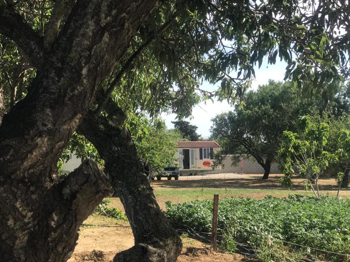 Hotel The Farm Tiny House - Tiny Casa Chiclana de la Frontera Exterior foto